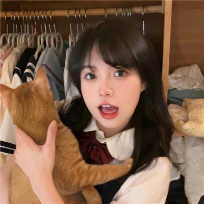 蜂蜜与四叶草